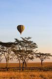 TANZANIA - Serengeti National Park - Mongolfiera - 2